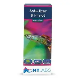 Anti-Ulcer & Finrot de NTLABS 100 g