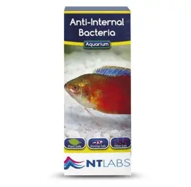 Anti-Internal Bacteria de NTLABS 100 g