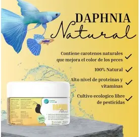 Daphnia Seca Natural...