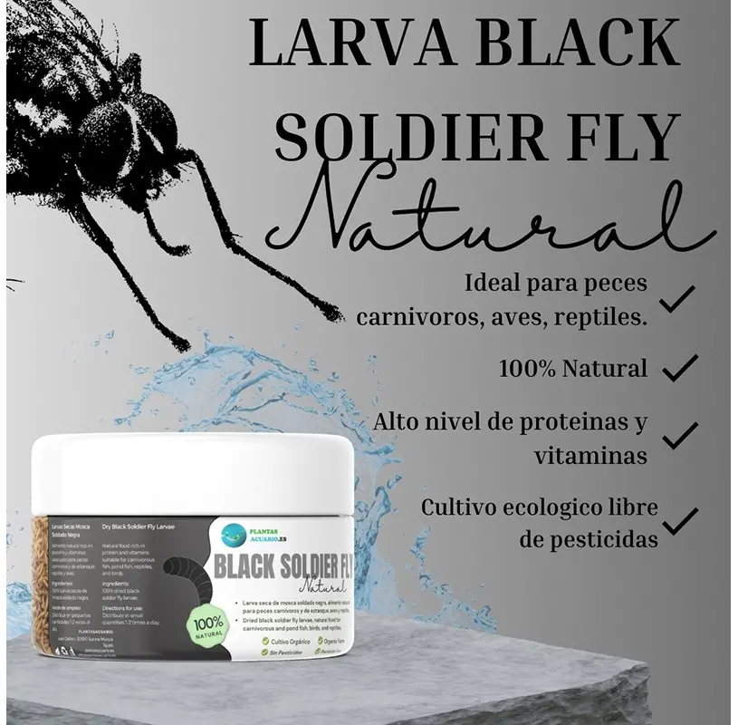 Larva Black Soldier Fly...