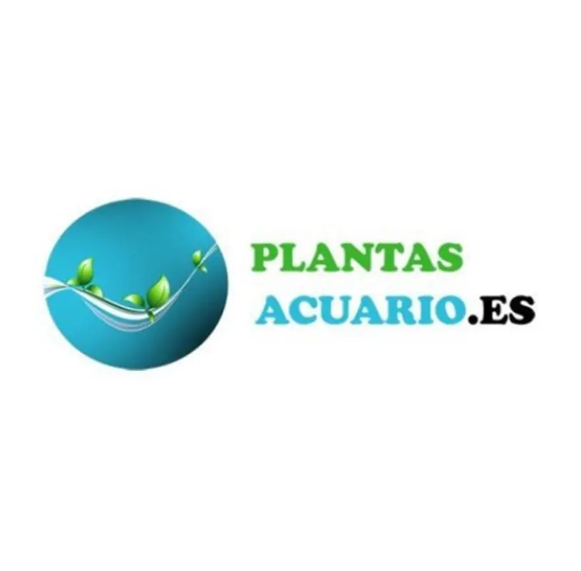 PlantasAcuario