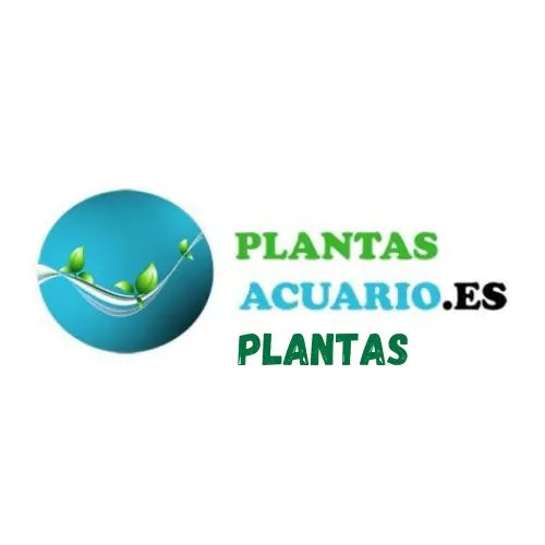 PlantasAcuario Plantas